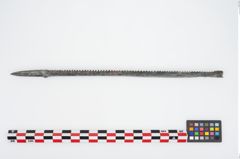 Foto von Bronzeraspel (NHMW-PRAE-025825)